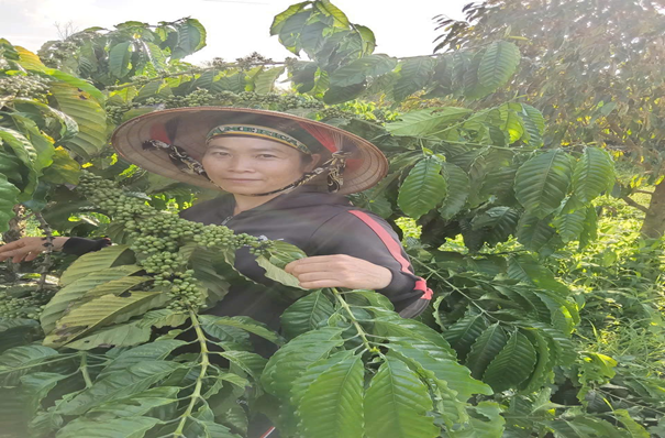 HIỆU QUẢ TỪ CHƯƠNG TRÌNH VAY VỐN GIẢI QUYẾT VIỆC LÀM CỦA NGÂN HÀNG CHÍNH SÁCH XÃ HỘI