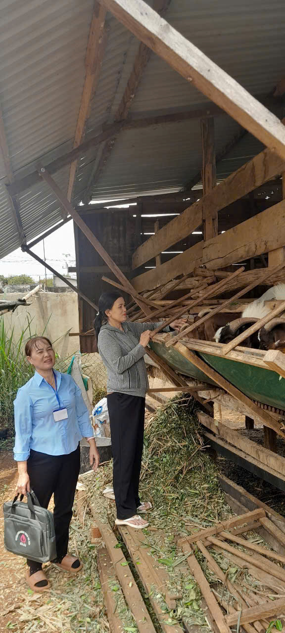 Tổ trưởng Tổ tiết kiệm và vay vốn tận tâm với công việc