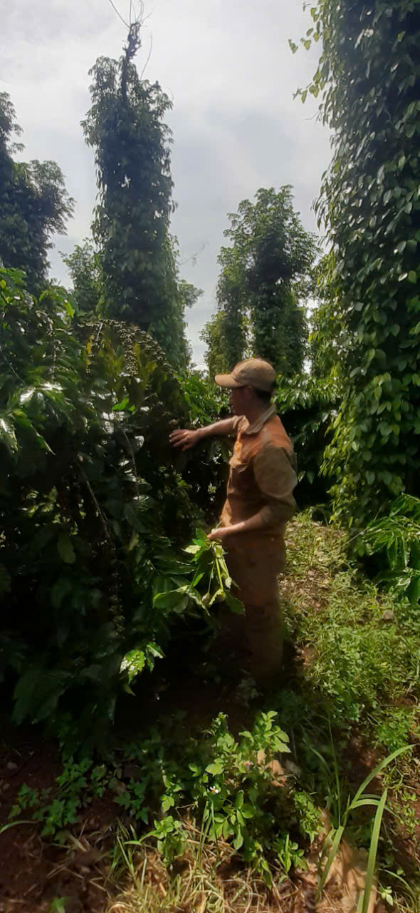 z5978098644546_1f70a4630af5e26e4e4c3de89f7ba5a3