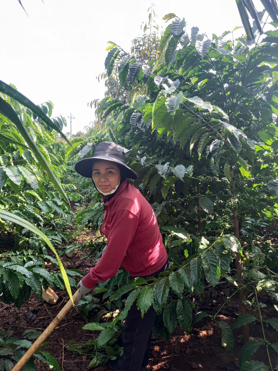 z5732168971625_958c4888699fc65ef2940c049cefa8de