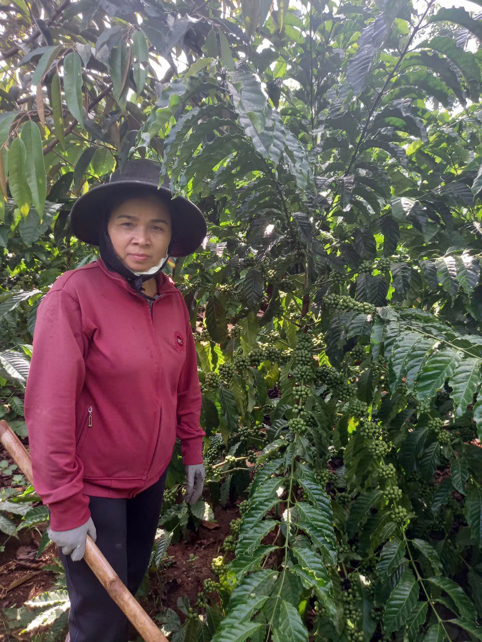 GƯƠNG PHỤ NỮ SỬ DỤNG VỐN VAY NGÂN HÀNG  CHÍNH SÁCH XÃ HỘI HIỆU QUẢ