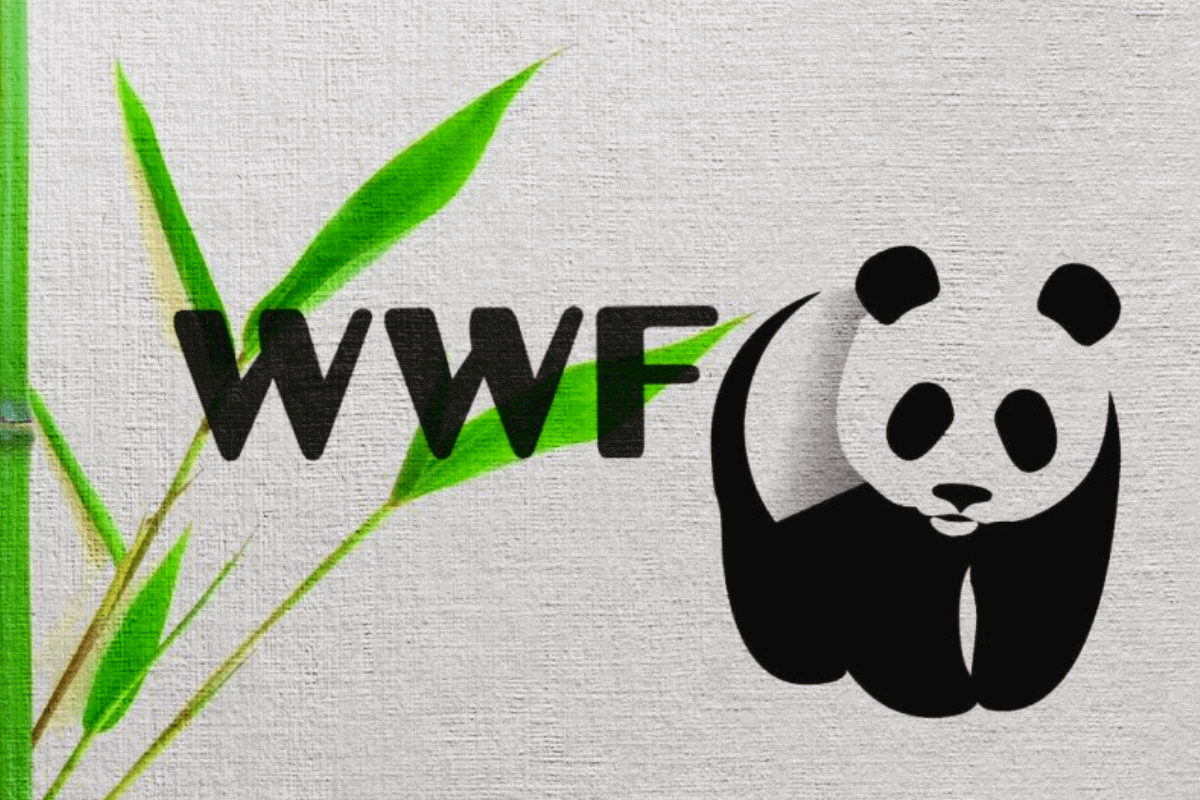 Triển khai thực hiện Thỏa thuận hợp tác giữa UBND tỉnh với tổ chức WWF-Việt Nam